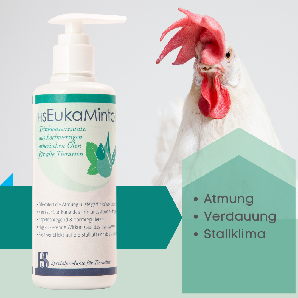 Mit EukaMintol durch die kalte Jahreszeit