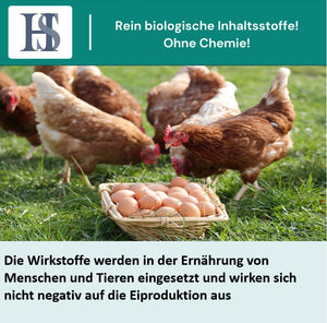 
                  
                    Laden Sie das Bild in den Galerie-Viewer, HS Duo Protect Bird 1kg- Sprühmittel für Geflügelställe bei Milbenbefall
                  
                