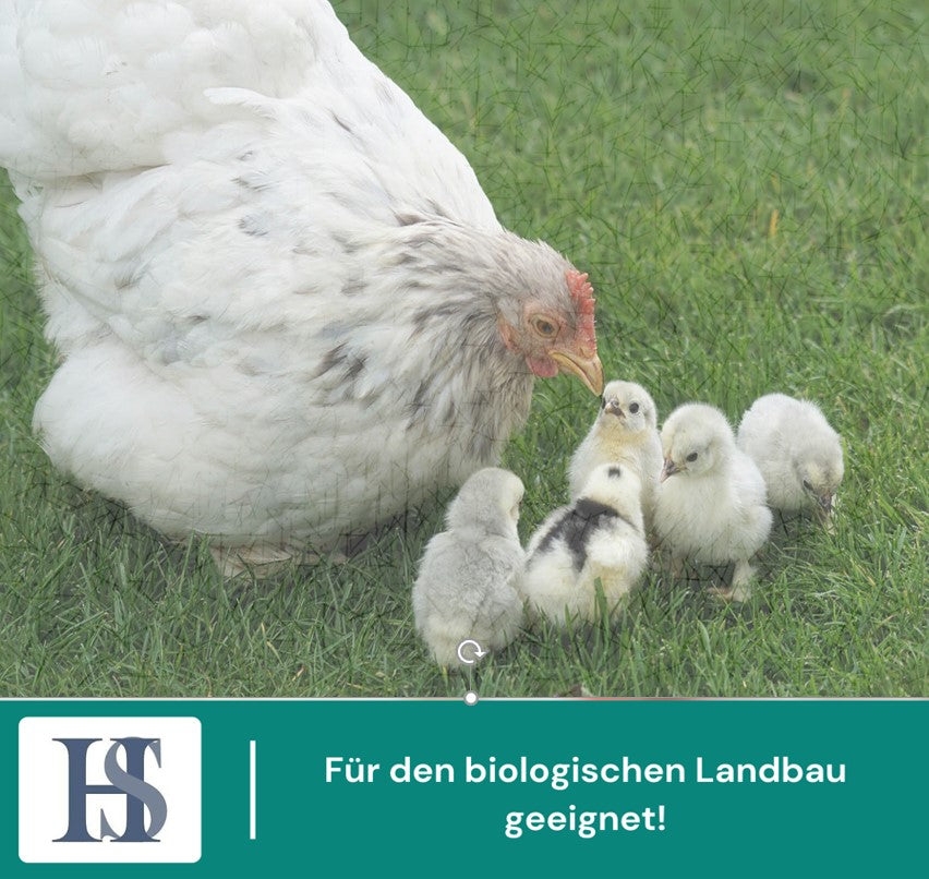 
                  
                    Laden Sie das Bild in den Galerie-Viewer, HS Duo Protect Bird 1kg- Sprühmittel für Geflügelställe bei Milbenbefall
                  
                