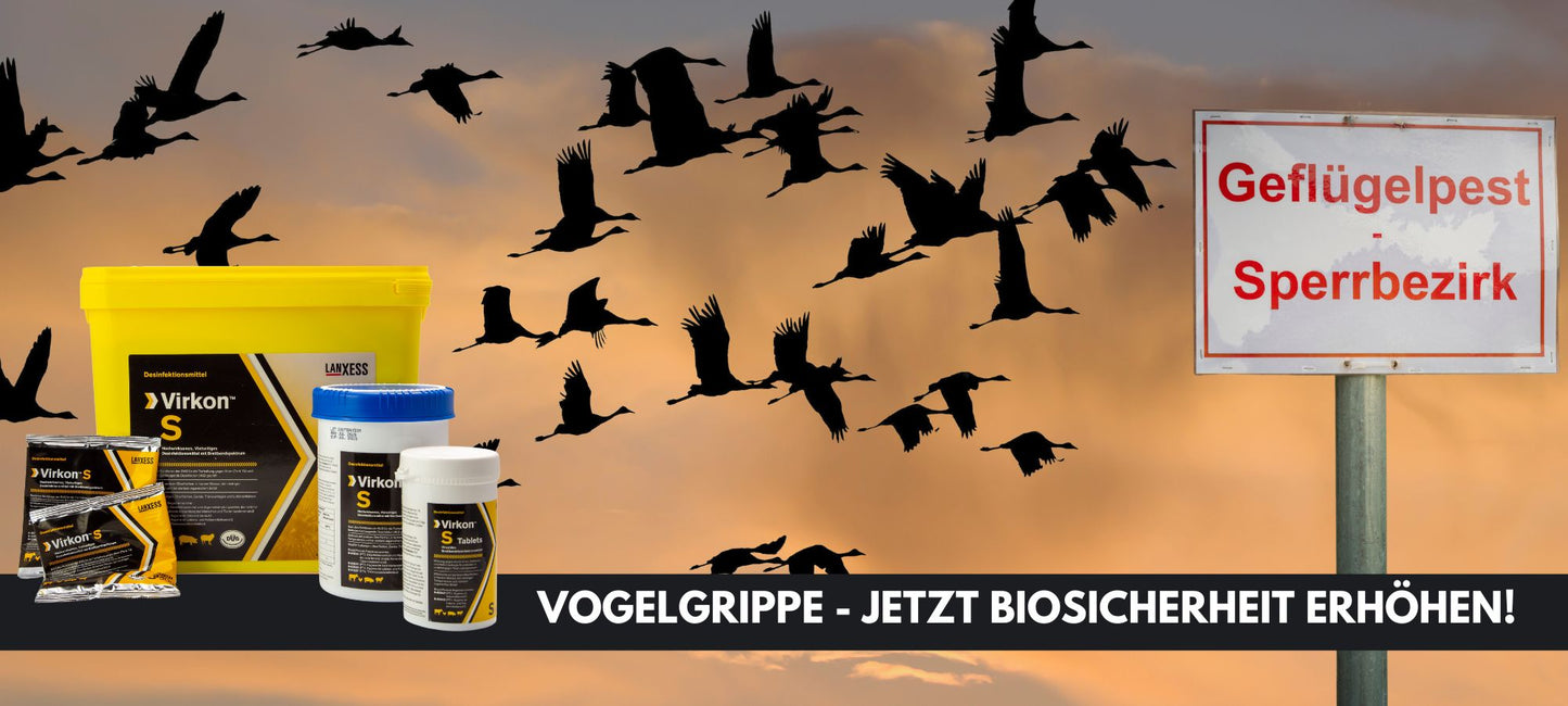 Virkon S Geflügelpest Vogelgrippe