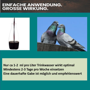 
                  
                    Laden Sie das Bild in den Galerie-Viewer, HS Soft Acid IV+E 1000ml - Trinkwasserzusatz u.a. gegen E.Coli und Salmonellen bei Geflügel &amp;amp; Tauben
                  
                