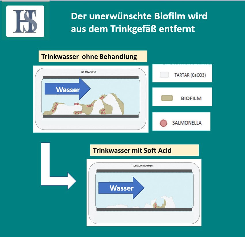 
                  
                    Laden Sie das Bild in den Galerie-Viewer, HS Soft Acid IV+E 1000ml - Trinkwasserzusatz u.a. gegen E.Coli und Salmonellen bei Geflügel &amp;amp; Tauben
                  
                